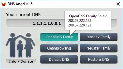 DNS Angel Скриншот 2